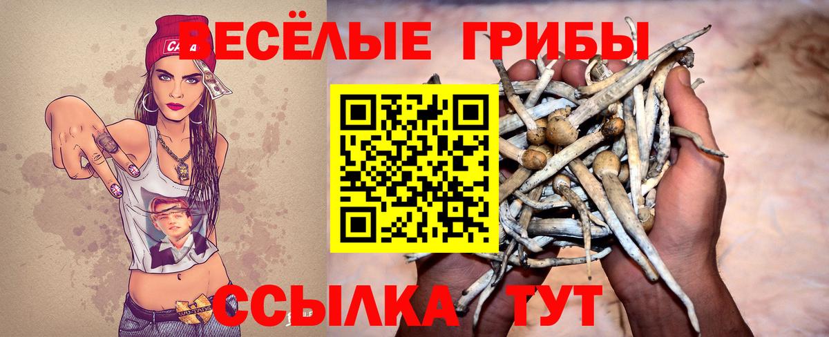 Псилоцибиновые грибы MAGIC MUSHROOMS  Псилоцибиновые грибы мицелий  Камень-на-Оби  Вход с VPN 