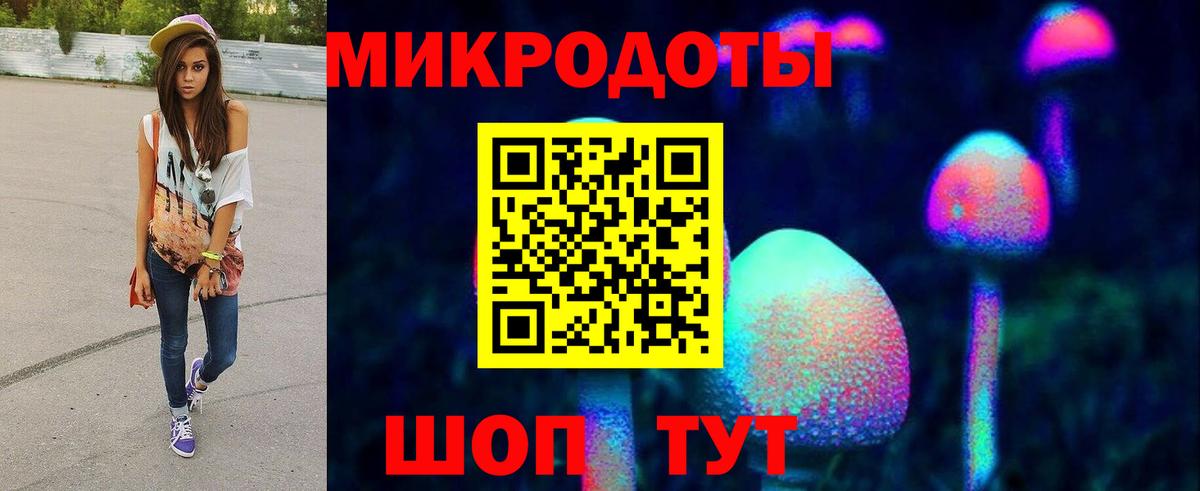 Галлюциногенные грибы мухоморы Камень-на-Оби