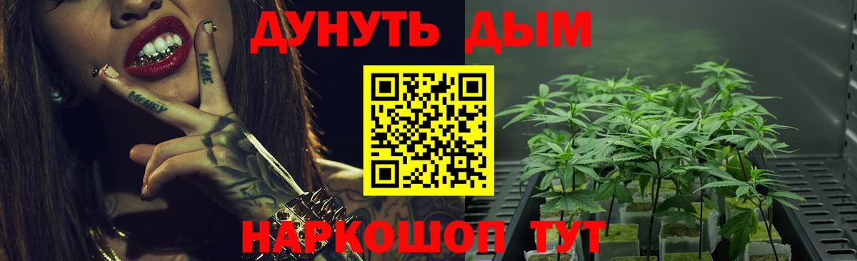 Каннабис SATIVA & INDICA  Марихуана Ganja  Камень-на-Оби  Марихуана индика  Вход с VPN  Бошки Шишки Amnesia 